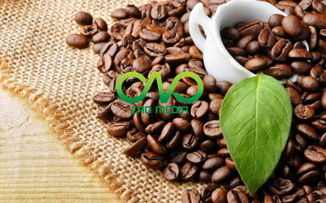 Thủ tục công bố sản phẩm cà phê nhập khẩu