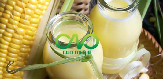 sua bap