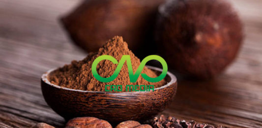 Công bố tiêu chuẩn chất lượng sản phẩm Cacao Công bố tiêu chuẩn chất lượng sản phẩm Cacao