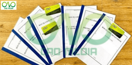 Công bố chất lượng sản phẩm bột ca cao