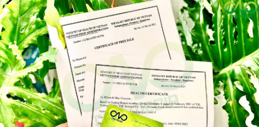 Các loại giấy phép xuất khẩu bột nghệ MỚI NHẤT