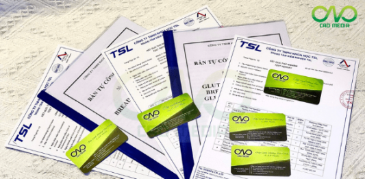 Tìm hiểu thủ tục công bố chất lượng bánh bao thanh long ruột đỏ