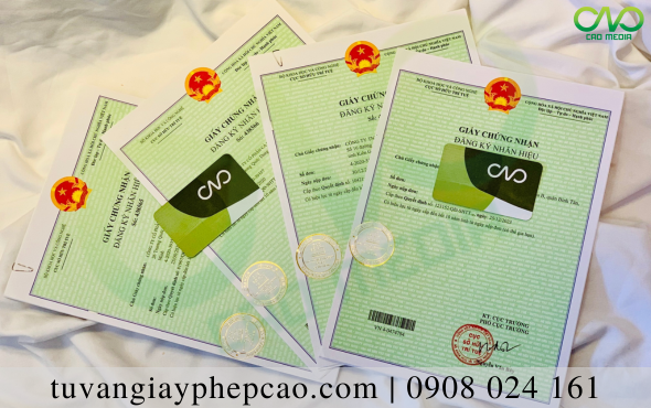 Đăng ký bảo hộ logo thương hiệu áo cưới toàn quốc