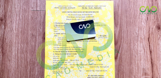 Mẫu giấy phép đăng ký hộ kinh doanh trung tâm anh ngữ (Ảnh CAO Media)