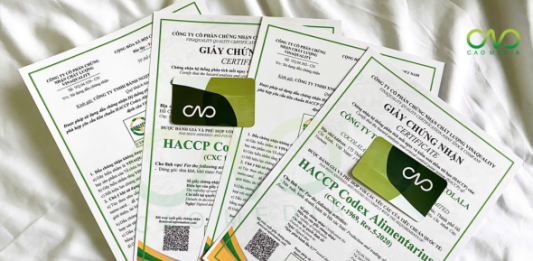 Giấy chứng nhận ISO 22000