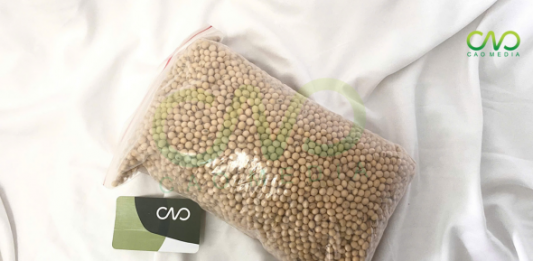 Tự công bố đậu nành