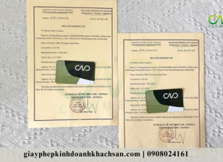 Dịch vụ xin giấy chứng nhận HC cho sản phẩm hạt điều mới nhất Chứng nhận HC cho sản phẩm hạt điều