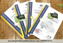 Thực hiện giấy chứng nhận ISO sản xuất kinh doanh trà có cần thiết? Chứng nhận ISO sản xuất kinh doanh trà