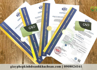 Chứng nhận ISO sản xuất kinh doanh trà