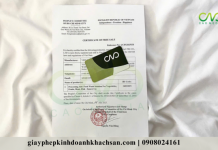 Quy trình thực hiện xin giấy chứng nhận CFS xuất khẩu nước giải khát