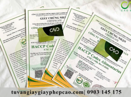 Giấy chứng nhận An toàn thực phẩm và HACCP khác nhau như thế nào?